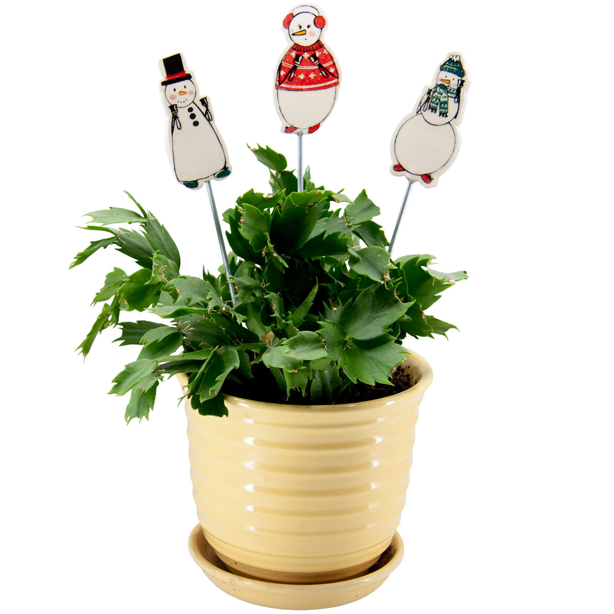 Snowringer Plant Stakes